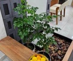 Interior Designers In Alappuzha: Creating Beautiful and Functional Spaces for Modern Living