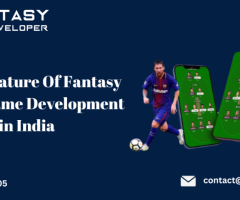 Best 5  Feature  Of Fantasy Sports Game Development in India