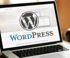 Exceptional WordPress Development Services in Florida