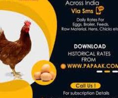 Fresh updates for daily poultry rates
