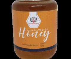 "Pure Gold: Exploring the Benefits and Uses of Organic Honey"