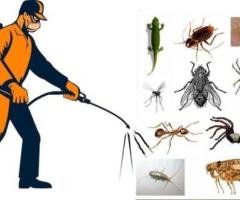 Trusted Pest Control Companies