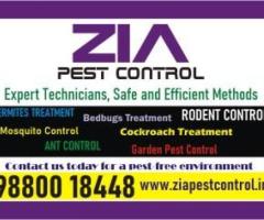 Cockroach Pest control service in Bangalore | Zia Pest  Control | 1814
