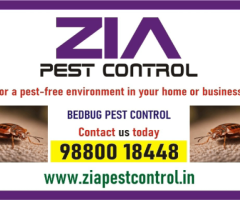 Pest Control service Rs. 999/- only | contact Zia pest control | 1825