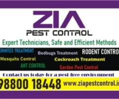Bedbug pest control for Paying Guest | Restaurant | Lodge|  | 1851