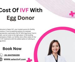 Cost Of IVF With Egg  Donor