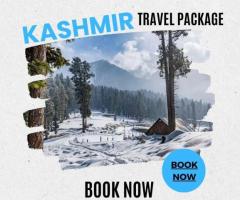 Unveiling Paradise: Travel Packages to Kashmir