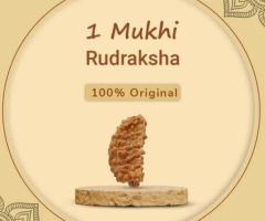 The Power of One: 1 Mukhi Rudraksha