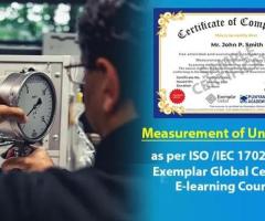 Online Measurement Uncertainty Training