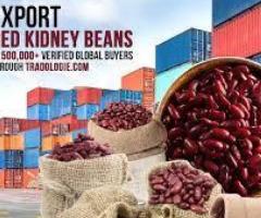 Red Kidney Beans Exporter