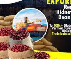 Export Red Kidney Beans