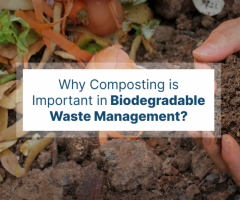 Why Composting is Important in Biodegradable Waste Management?