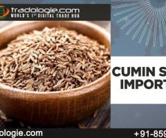 Cumin Seeds Importers