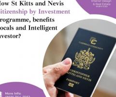 Citizenship by Investment Programmed, benefits and intelligent investor
