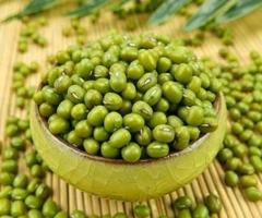 Green Mung Bean Buyer In India