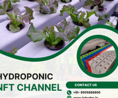 Searching for the Hydroponic NFT Channel | Inhydro