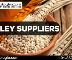 Barley Suppliers