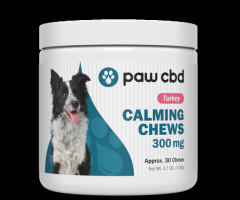 Calm Your Anxious Dog with Safe and Effective CBD Dog Treats