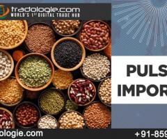 Pulses Importer