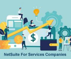 Get NetSuite for Professional Services Now!