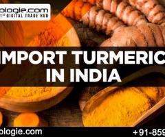 Import Turmeric in India