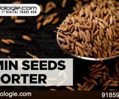 Cumin Seeds Exporters