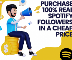 Purchase 100% real Spotify followers in cheep price