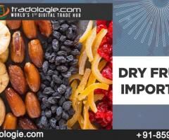 Dry Fruits Importers