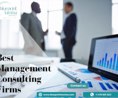 Hire  Top Management Consultants in usa