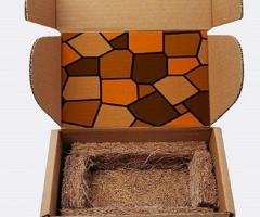 sustainable packaging solutions india