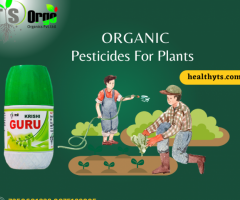 Buy Organic Agriculture Crop Products Online at Best Price