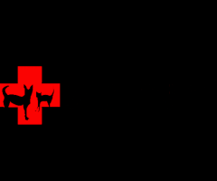 Animal Doctors of South Tampa