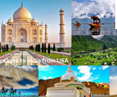 Tour Packages to India from USA | Squid Travel