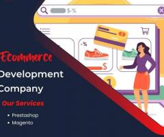 E-commerce web development company in California - Webinatic Solutions