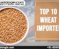 Top 10 Wheat Importers