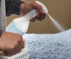 Best Carpet Stain Removers