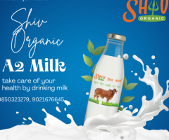 Best quality Bilona Gir Cow Ghee & A2 Milk Supplier In Nagpur