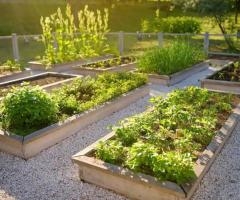 Programme Conception Potager | Logiciel Potager