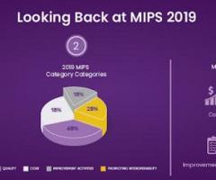 A Brief Overview: Looking Back at MIPS 2019