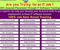 100% Assured Placement Through IT Software Trainings