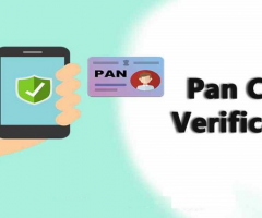 Best PAN Verification API solution Provider in India