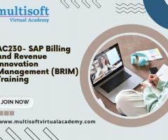 AC230- SAP Billing and Revenue Innovation Management (BRIM) Training