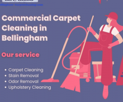 Bellingham's Premier Commercial Carpet Cleaning Services