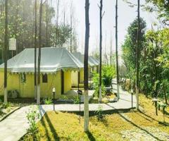 Best Resorts in Himachal Pradesh-Resorts in Himachal - 1