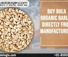 Buy Bulk Organic Barley Directly From Manufacturers