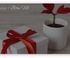 Blow Me Balloon Surprise Box - Gifting Concept like Never Before