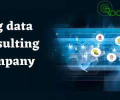 Big Data Consulting Company- Hire Experienced Consultant