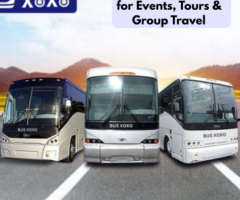 Affordable Georgia Charter Bus Rentals for Events, Tours & Group Travel
