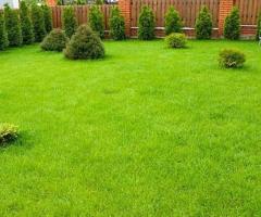 Professional Landscaping Services Clarence, NY