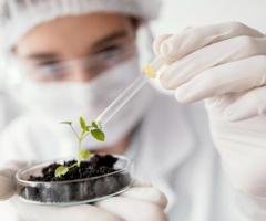 Why Tissue Culture Success Depends on Quality Laboratory Practices